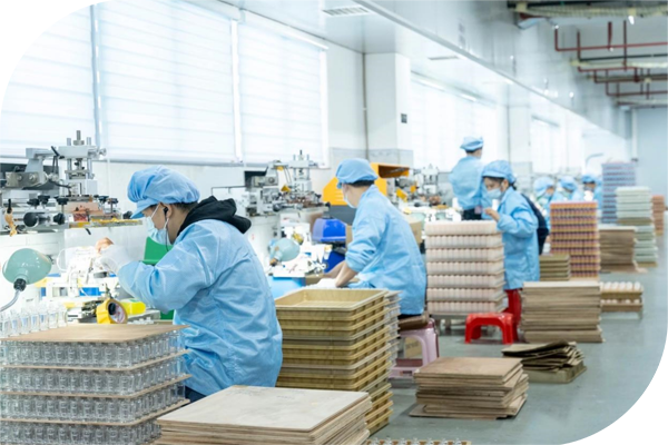 Naisi Packaging Naisi Packaging