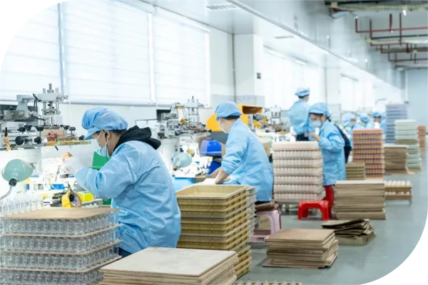 Naisi Packaging Naisi Packaging