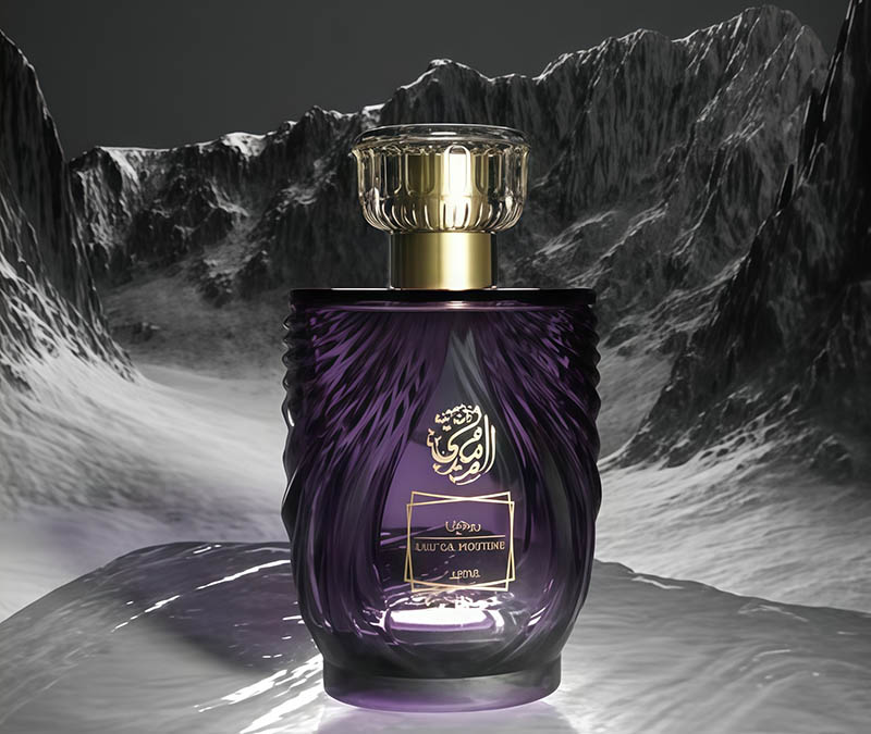 NS-X004 100ml Glass Empty Perfume Spray Bottles