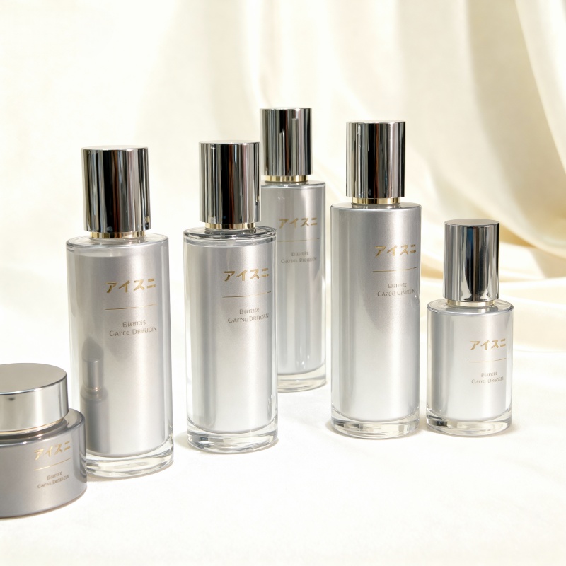 NS014 30ml 120ml Luxury Packaging Cosmetics Bottle With Pump